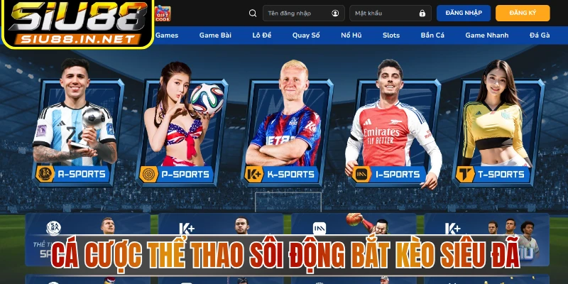 Cá cược thể thao sôi động bắt kèo siêu đã