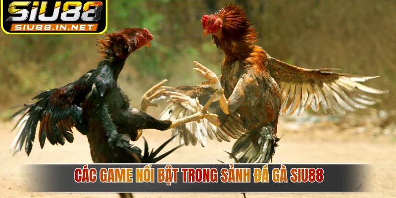 Các game nổi bật trong sảnh đá gà Siu88