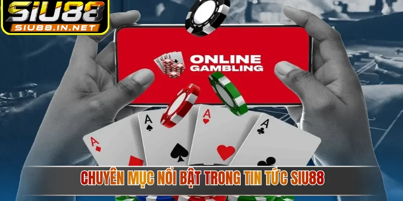 Chuyên mục nổi bật trong tin tức Siu88